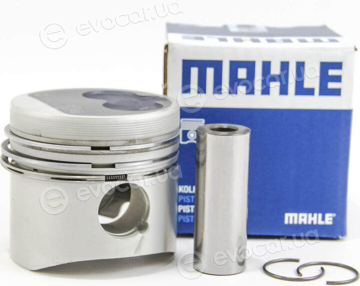 Mahle 029 79 02