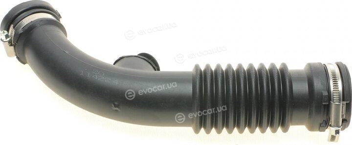 Solgy 114224