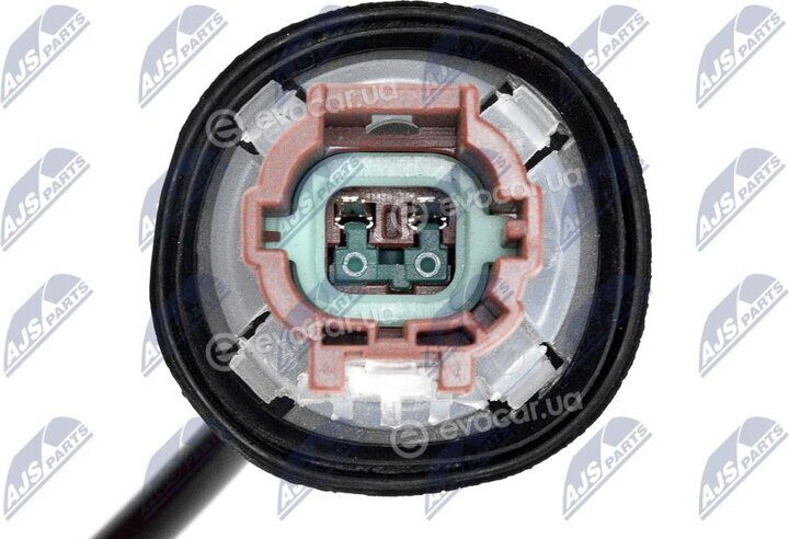NTY HCA-NS-079