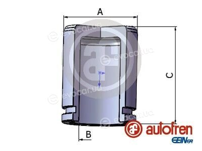 Autofren D025294