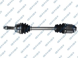 GSP 239249