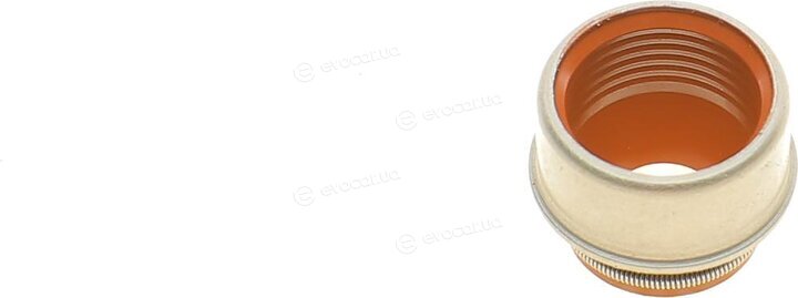 Elring 429.020