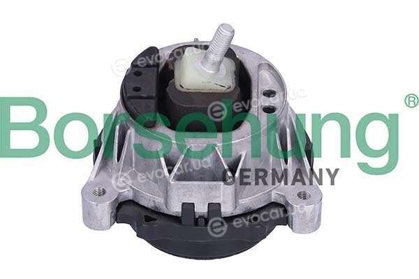 Borsehung B12602