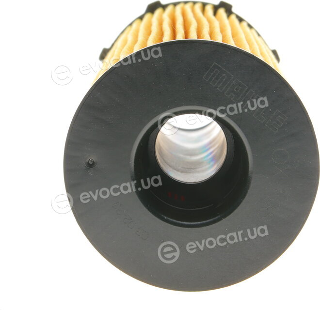 Mahle OX 196/1D1