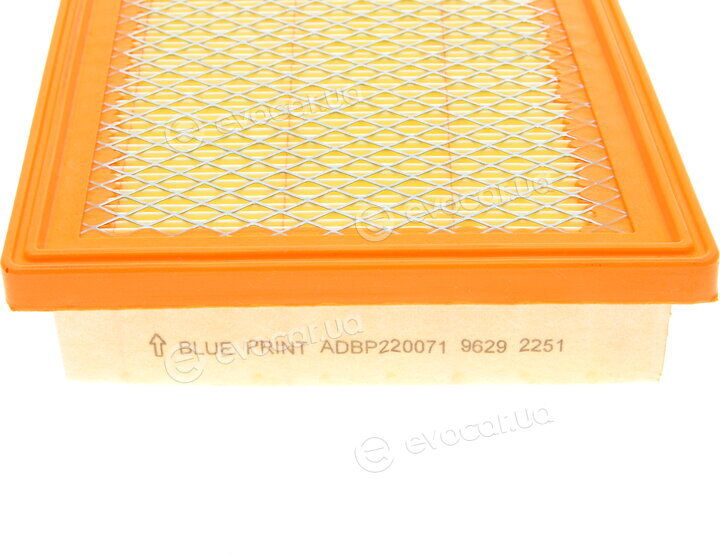 Blue Print ADBP220071
