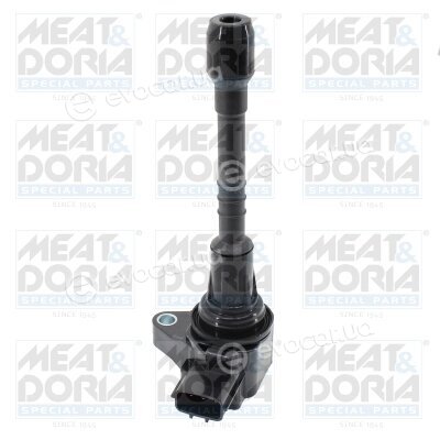 Meat & Doria 10861