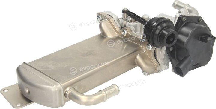 Delphi EG10576
