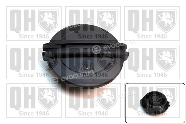 Quinton Hazell FC543