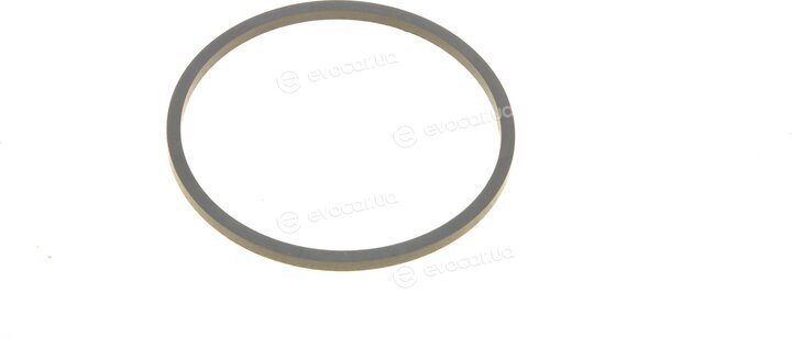 Borsehung B10547