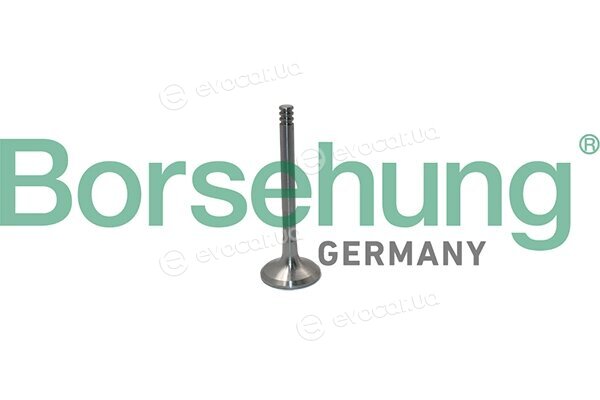 Borsehung B19012