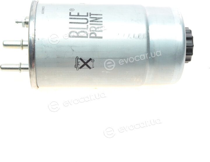 Blue Print ADBP230030