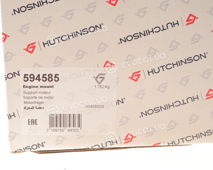 Hutchinson 594585