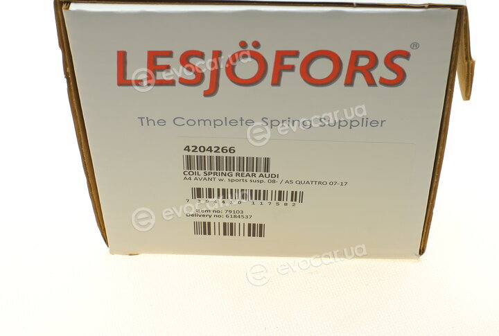 Lesjofors 4204266
