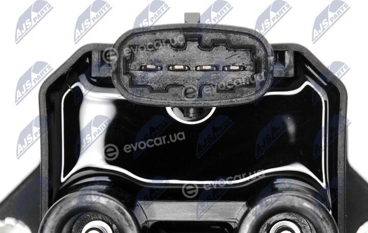 NTY ECZ-PL-011