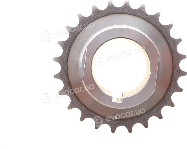 Motive TCK250