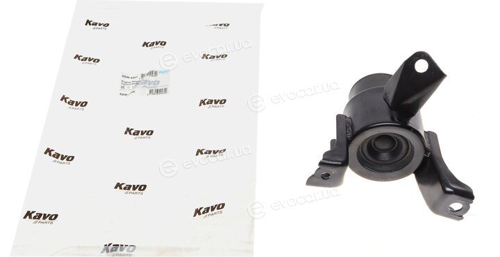 Kavo EEM-4566
