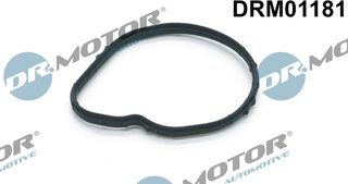 Dr. Motor DRM01181