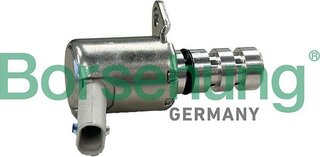 Borsehung B13239