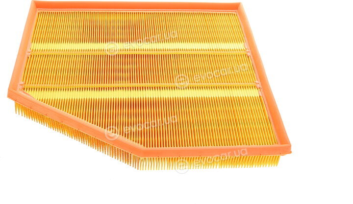 Mann C 31 149