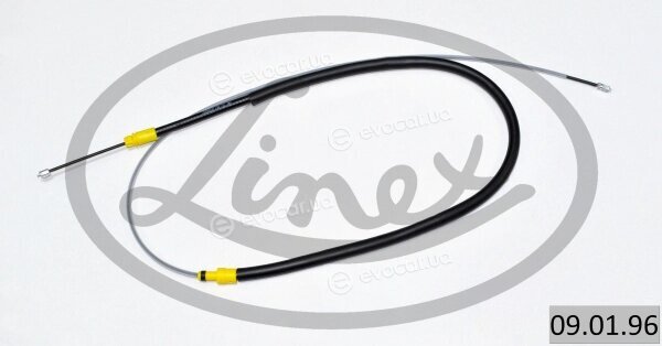Linex 09.01.96