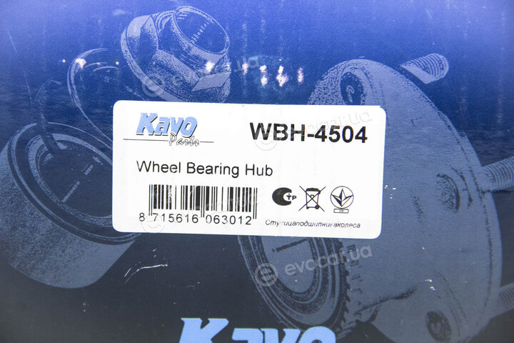 Kavo WBH-4504