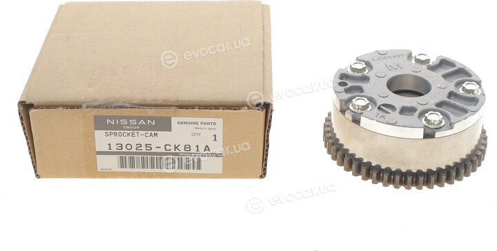 Renault / Nissan 13025CK81A