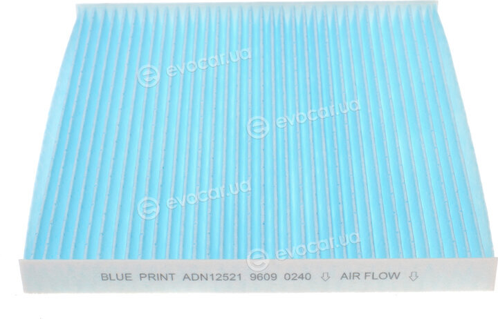 Blue Print ADN12521
