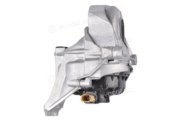 Tedgum TED84847