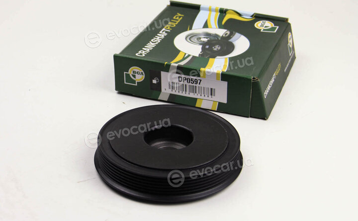 BGA DP0597