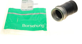 Borsehung B11982