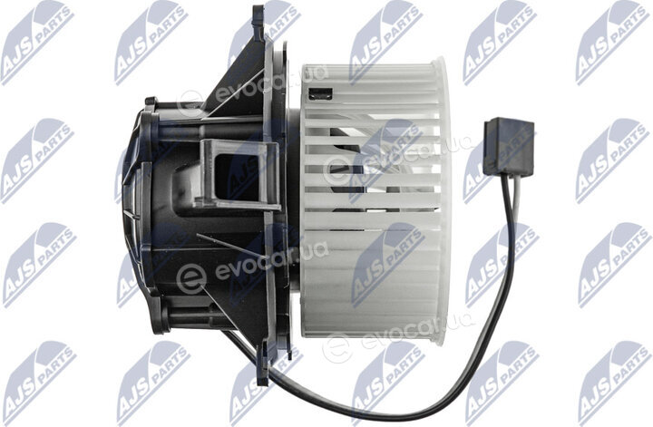 NTY EWN-PL-002