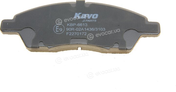 Kavo KBP-6613