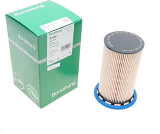 Borsehung B10521