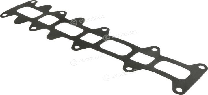 Starline GA 4036