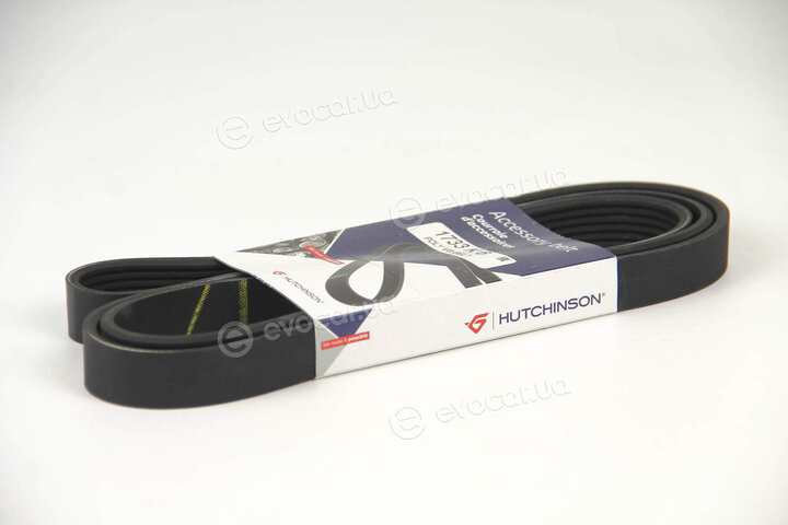 Hutchinson 1733 K 6