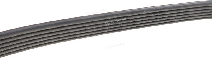 Dayco 6PK2315