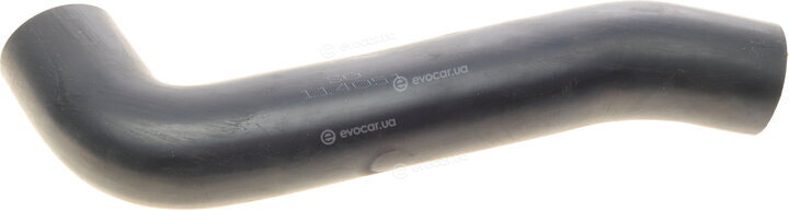 Solgy 114051