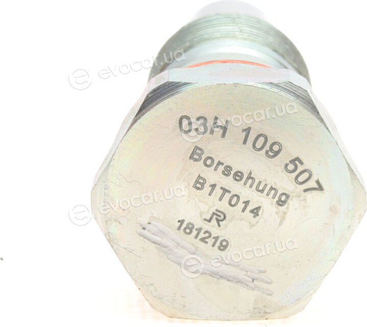 Borsehung B10208