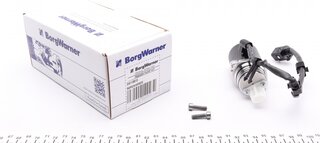 BorgWarner DS118613