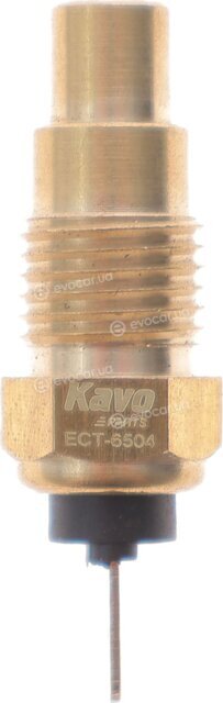 Kavo ECT-6504