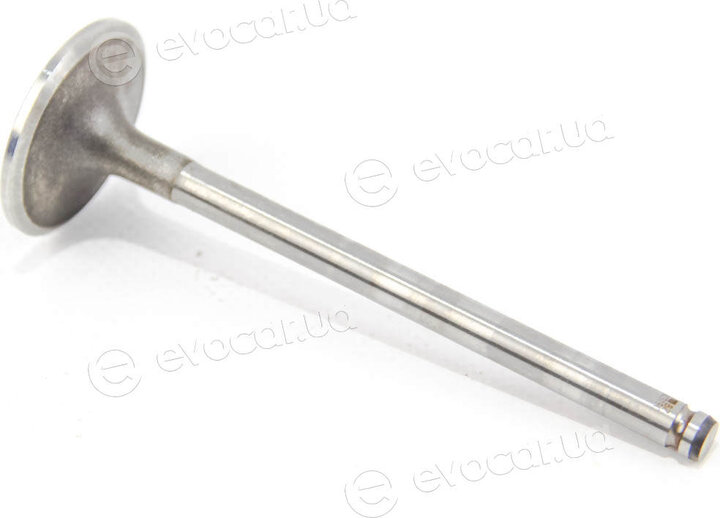 Mahle 031 VE 30319 000