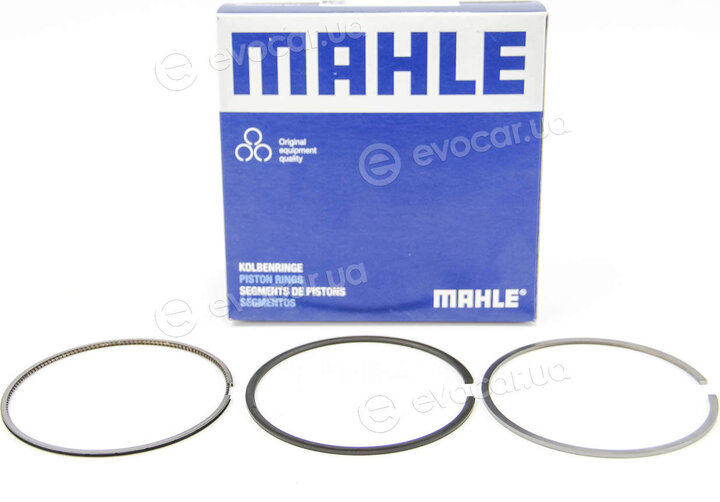 Mahle 016 02 N0