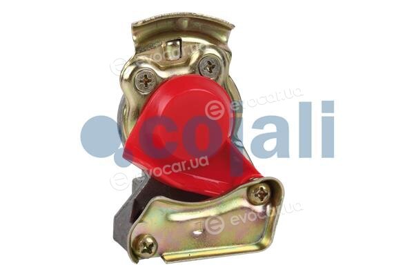 Cojali 6001405