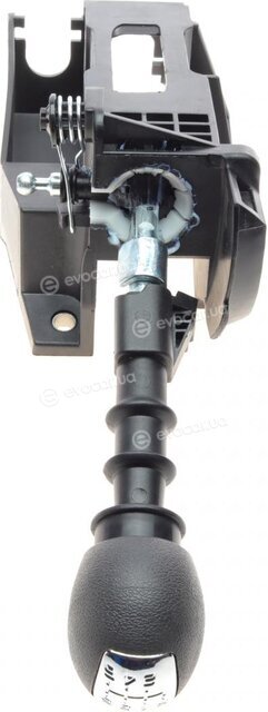 Solgy 303036
