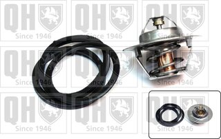 Quinton Hazell QTH272K