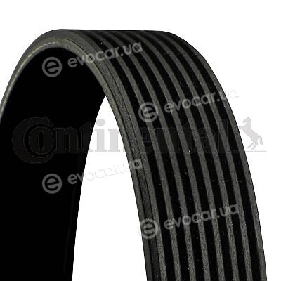 Continental 8PK2523