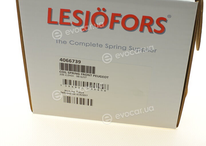 Lesjofors 4066739