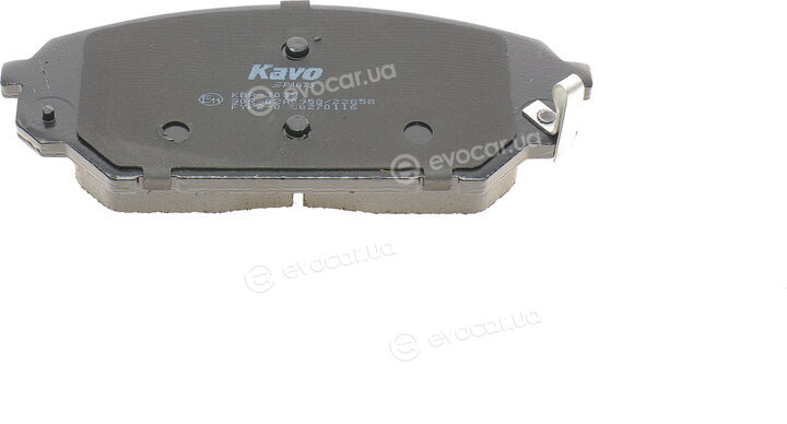 Kavo KBP-3039
