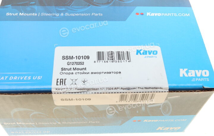 Kavo SSM-10109