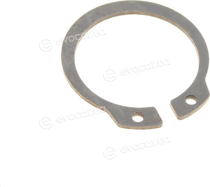 Magneti Marelli 302009100028